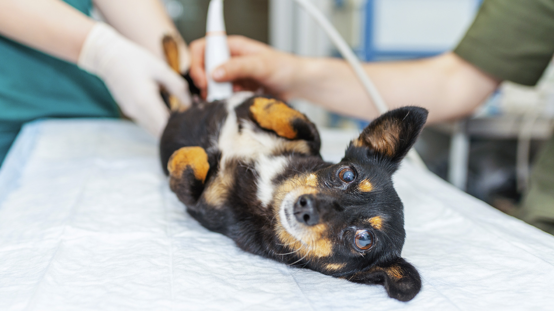 Allgemeine Versorgung